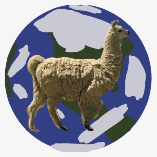 The Only Planet That Llamas Live On Is Earth Did You - Llamas Habitat #8214985