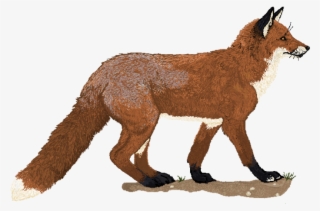 Pixel By Howlecho On Clipart Library - Pixel Art Realistic Fox #8215111