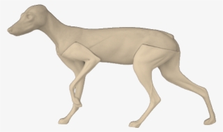 Red Fox F6 - Longdog #8215914