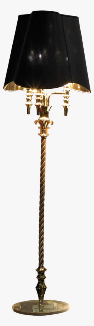 Amarilli Visionnaire #8215927