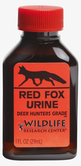 Red Fox Urine - Glass Bottle #8216064