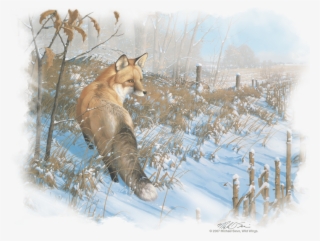 Wildlife Winter Red Fox Youth T Shirt - Paintings Of Foxes In Winter #8216231