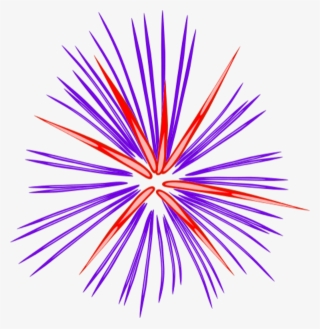 Pink Fireworks - Fireworks Clipart Black And White Transparent #8216607