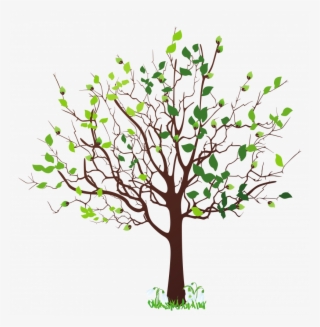 4 Seasons Tree Png #8216900