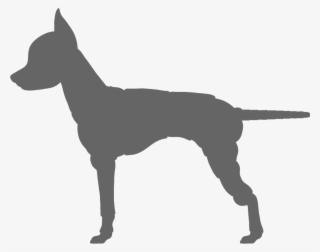 Parent Directory - Ancient Dog Breeds #8216959