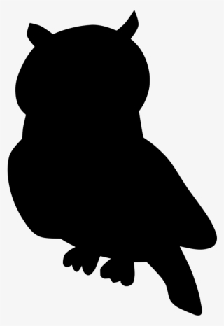 Download Png - Owl #8217167