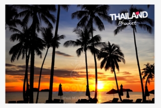 Coconut Trees And Seashore #8218324 Coconut Trees And Seashore #8218324