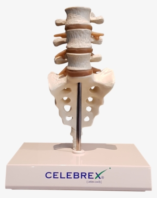 Buying Promethazine From Canada - Celebrex #8218702