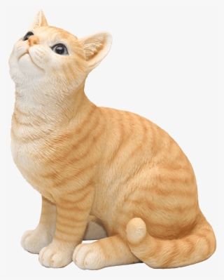 Sitting Orange Cat - Arabian Mau #8218867