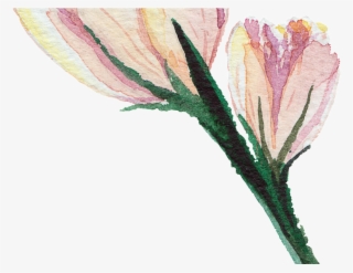 Transparent Watercolor Flowers In Early Puberty Free - Transparent Watercolor Flowers Hd #8220587