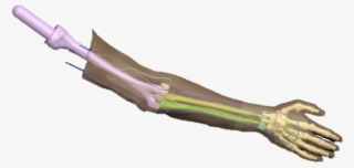 Detailed User Manual - Bowie Knife #8221289