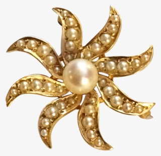Victorian Revival Starburst Pin Brooch Pendant In 14k - Pearl #8222112