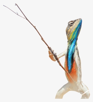 Permalink - Lizard Colorful #8222273