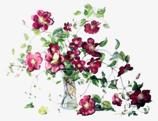 Clematis-vase - Watercolor Painting #8223918