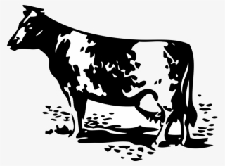 Cow Animal Dairy - Cow And Barn Silhouette #8224633