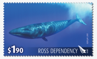 Single Stamp - Whale #8225217 Single Stamp - Whale #8225217