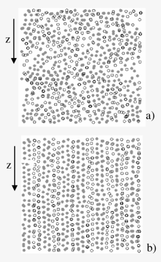 Computer Simulation Snapshots For A Two-dimensional - Animal Print #8226911
