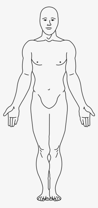 Terrans Are Physically Similar In Appearance To Natural - Line Art #8227842