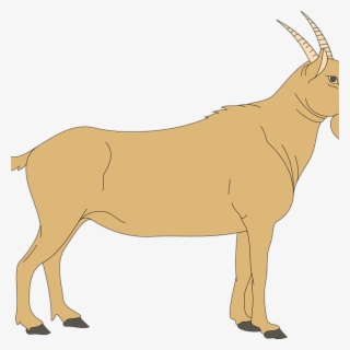 Goat Clipart 19 Goat Clip Royalty Free Huge Freebie - Goat Clipart Transparent Background #8228759