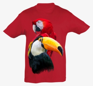 Parrot & Tucan T-shirt Kids - Toucan #8229094