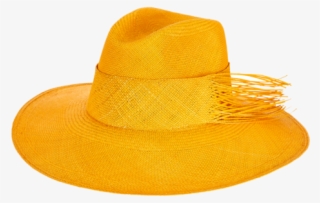 Cowboy Hat #8229509