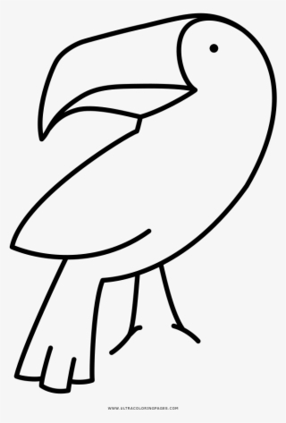 Toucan Coloring Page - Piciformes #8230157 Toucan Coloring Page - Piciformes #8230157