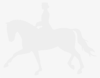 Breed Points - Stallion #8232306