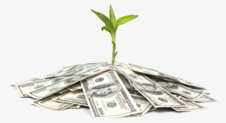 Gna Funding Services - Cannabis Business Money #8232405