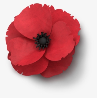 Poppy Flower Veterans Day - Clip Art Remembrance Day Poppy #8232504