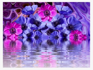 Vector Desenho De Flor Gerbera Png #8232630