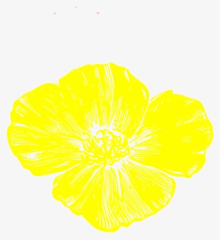 Original Png Clip Art File Yellow Poppy Svg Images #8232669