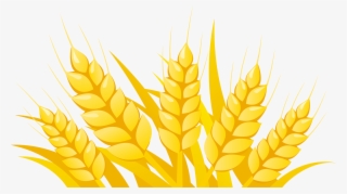 Wheat Clipart Vector - Vector Wheat Png #8232828 Wheat Clipart Vector - Vector Wheat Png #8232828