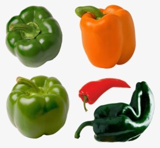 Red Pepper - Pepper Orange #8233141