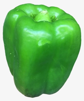 Green Pepper - 1lb - Green Bell Pepper #8233282