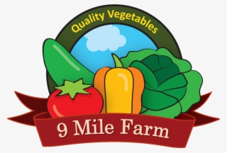 903 X 612 7 - Innovative Agro Industry #8233375