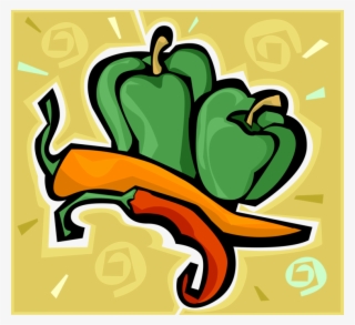 Vector Illustration Of Green Pepper Capsicum Bell Pepper - Illustration #8233607