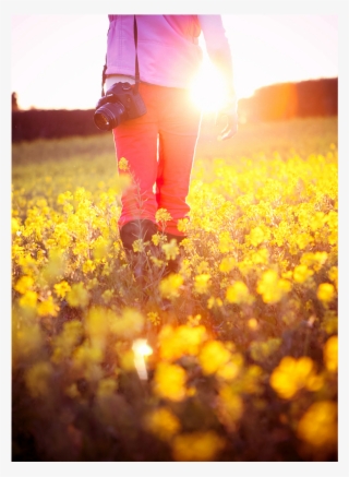 15 - Pinterest #8234626 15 - Pinterest #8234626