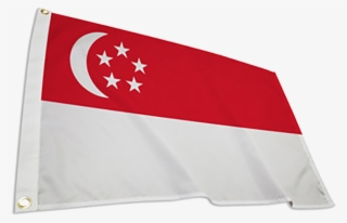 Singapore International Flag - Flag #8235550
