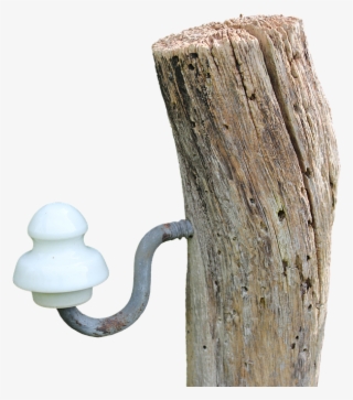 Pile, Wood, Wood Pile, Nature, Fence, Fence Post, Post - Plank #8238230