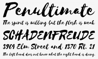 Selima Free By Jroh - Selima Font #8238701