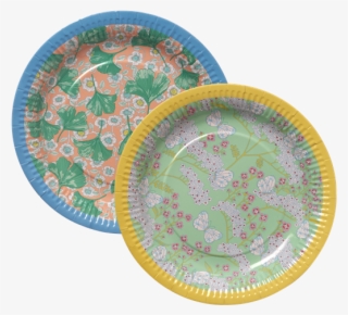 Plate #8240001