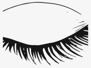 Eyelash Clipart Msp - Eyelash Extensions #8241289
