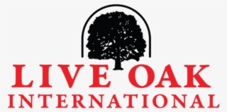 See World Class Equestrian Action Up Close - Southern Baptist Theological Seminary #8241423