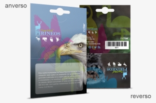 Anverso Y Reverso Packaging Rectángulo Abierto - Bald Eagle #8242302 Anverso Y Reverso Packaging Rectángulo Abierto - Bald Eagle #8242302