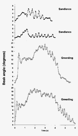 Characteristic Patterns In Beak Angle Over Time In - Diagram #8243454