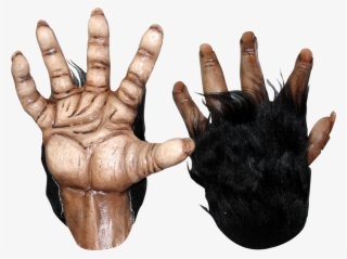 Chimp Brown Hands - Chimp Hands #8243903