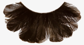 Black - Lace Wig #8243946
