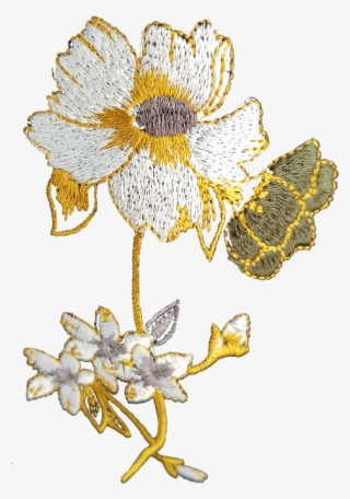 Popular - Daisy #8244053