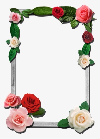 Roses This Photo Was Uploaded By Razadelumina Flower - Png Photo Frames For Photoshop #8244192