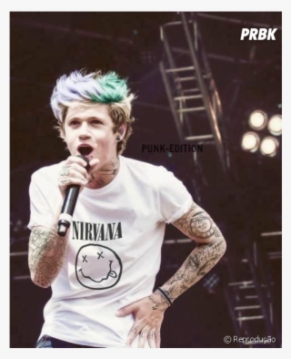 Niall Horan Continuaria Cantando No One Direction Depois - Niall Horan #8245125
